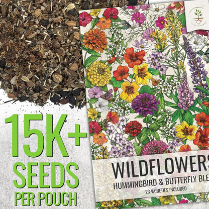 Seed Needs Wildflower Seeds Hummingbird and Butterfly Seed Mix | 5 Packs (1 Ounce Each) No Filler 23 Varieties Garden Seeds Annual & Perennial Species | Pollinator Attracting Flower Seed | Bulk