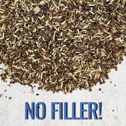 Seed Needs Low Growing Wildflower Flower Seeds for Planting | 2 Packs (1 Ounce Each) Mixture/Blend 17 Varieties | Resealable Package Multicolored Blooms Open Pollinated Mixed Species | Bulk