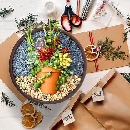 SQOWL 10 Inch Large Terracotta Planter Pot,Clay Succulent Bonsai Planter with Drainage Hole and Bamboo Saucer for Indoor Plants