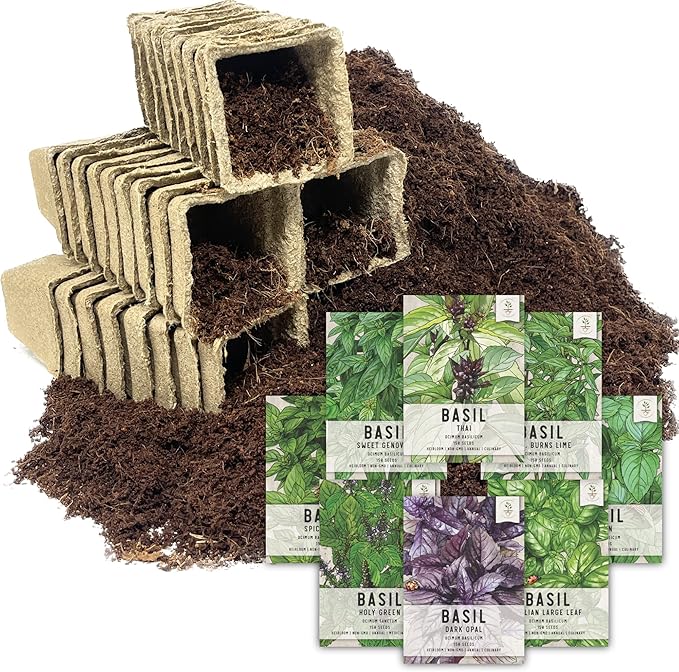 Seed Needs, Basil Seed Packet Collection Seed Starting Bundle (Includes 8 Individual Seed Packets, 36 Starter Pots & 1 Expandable Coco Coir Brick) Heirloom, Non-GMO & Untreated