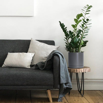 D'vine Dev 6 Inch & 8 Inch & 10 Inch, Set of 3 Round Ceramic Planter Pot with Drainage Hole and Saucer, Grey, 94-T-L-3