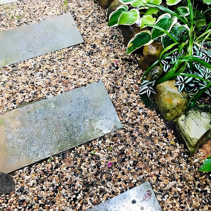 10 lbs Aquarium Pea Gravel, 3/8 Inch Polished Pebbles. Decorative Stones River Rocks for Succulent Soil Cover, Fish Yank, Vase and Outdoor Garden Landscaping