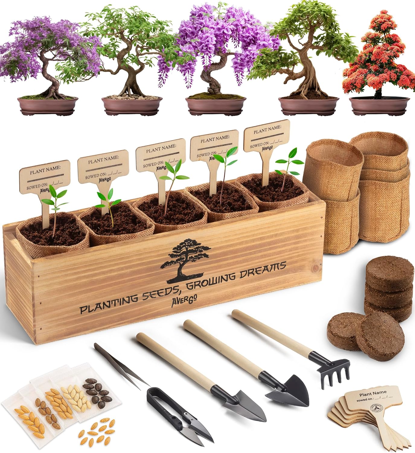 Bonsai Tree Kit for Beginners – 5X Unique Japanese Bonzai Trees | Complete Indoor Starter Kit for Growing Plants with Bonsai Seeds, Tools & Planters – Gardening Gifts for Women & Men