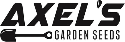 Kale Seeds for Planting - Plant & Grow Heirloom Kale Varieties Home Outdoor Garden – Easy Grow Planting Packet Instructions Included, Great Gardening Gift – 5 Packets of Each Variety