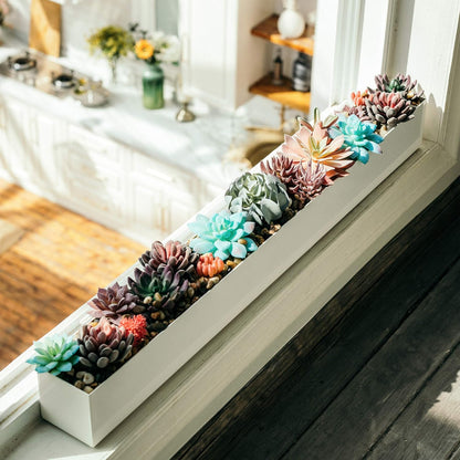 DR&Co Modern Rectangle Planter Box - 32" Metal Planter Ideal for Long Succulent, Rectangular Box for Table or Window Sill, Trough for Indoor Window, White