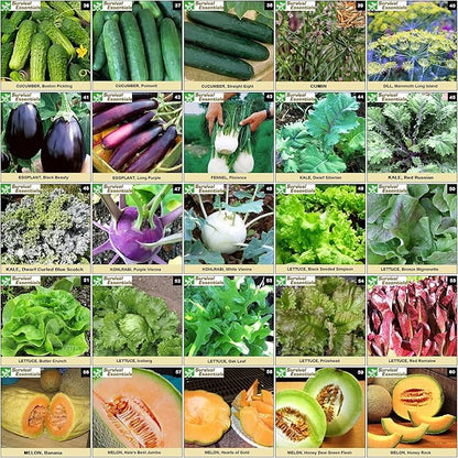Heirloom Seeds for Planting Vegetables and Fruits - Survival Essentials 135 Variety Seed Vault - Medicinal Herb Seeds - Grow Healthy Non-GMO Food