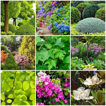 The Old Farmer's Almanac Tree & Shrub Fertilizer Spikes (Box of 12 Spikes - 3 Lbs)