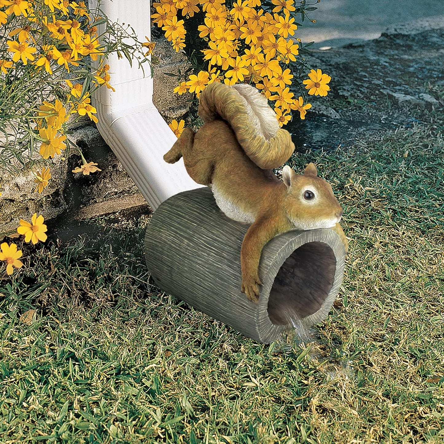 CRASH THE SQUIRREL RAIN GUTTER
