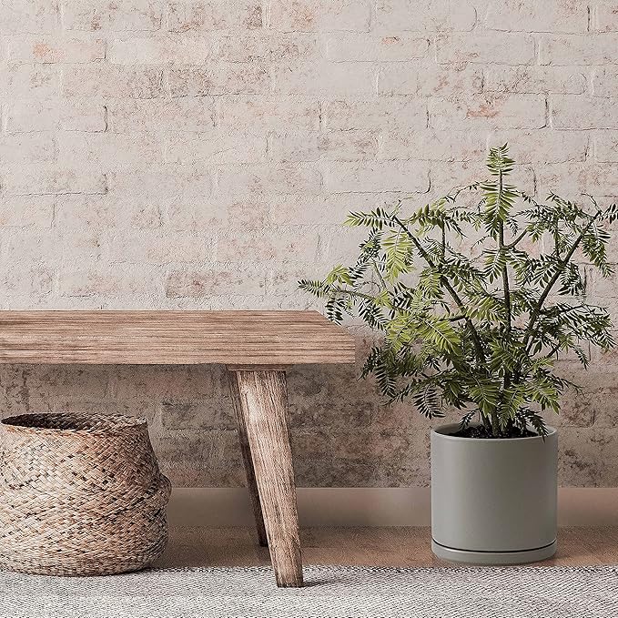 D'vine Dev 10 Inch Ceramic Planter Pot with Drainage Hole and Saucer, Indoor Cylinder Round Planter Pot, Grey, 94-O-E-3