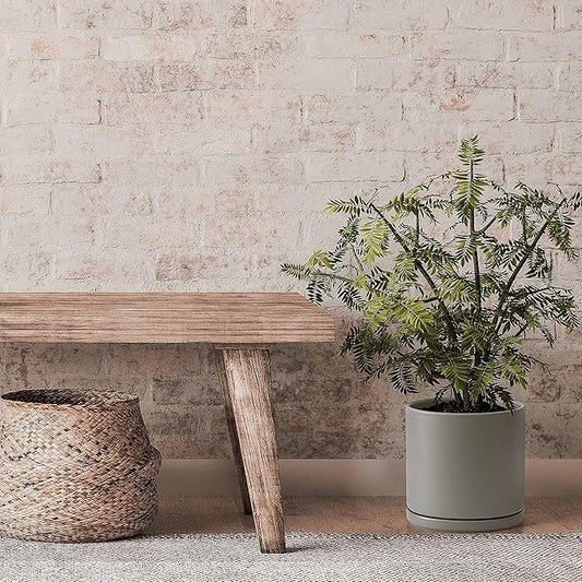 Set of 2 Plants Pots, 8 Inch Ceramic Planter Pot for Plants with Drainage Hole and Saucer, Speckled Grey, 94-V-D-3