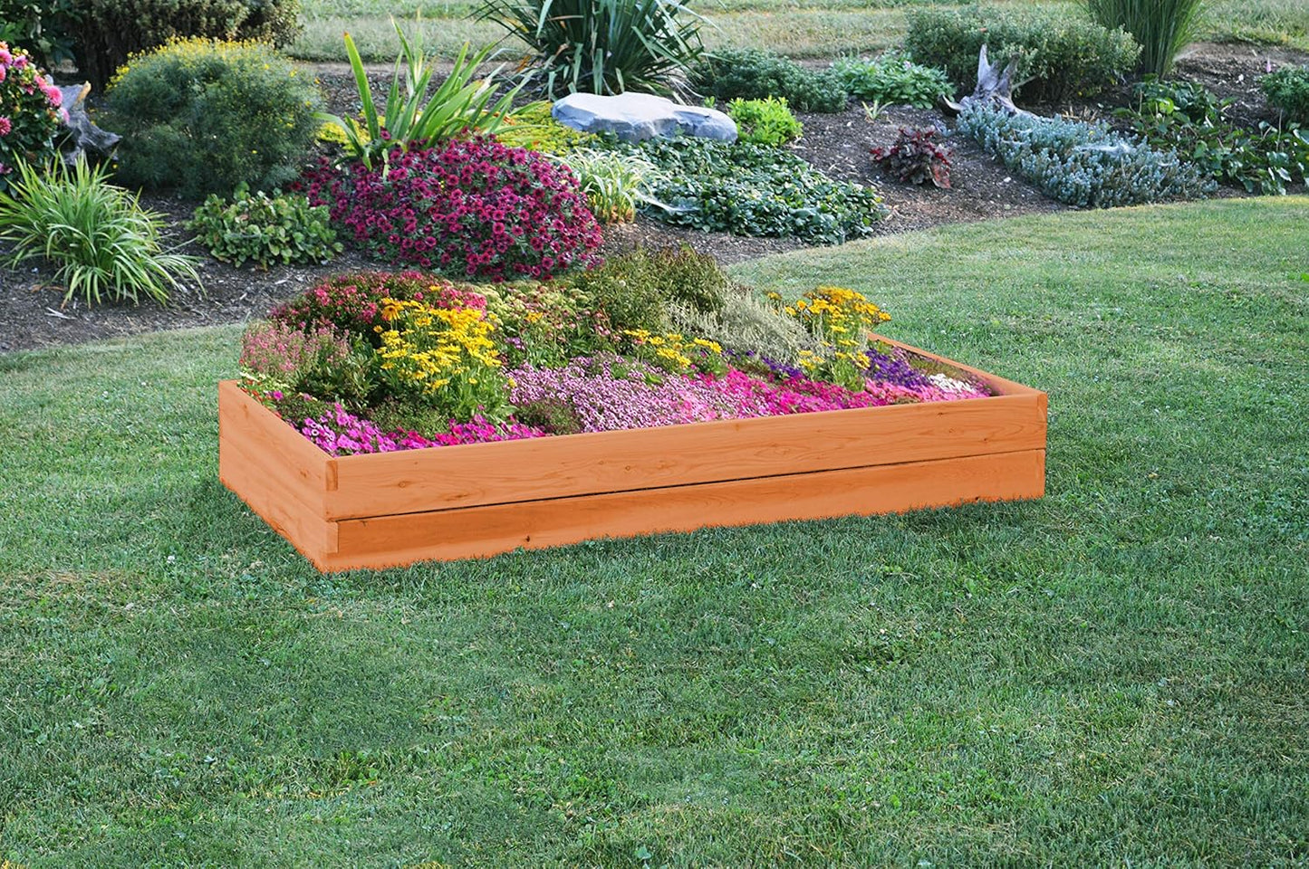Red Cedar Wood Raised Vegetable Garden Bed - Amish Made in USA (11" Double Raised Bed, Cedar Stain)