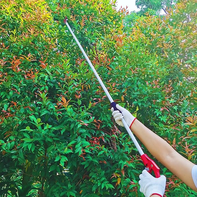Tree Trimmer, 4 Foot Pole Pruner, Long Reach Pruning Shears, Cut and Hold Garden Clippers, Aluminum Lightweight Handle Fruit Picker, Branch Bypass Loppers