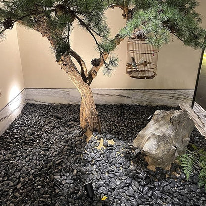 20 lbs Decorative Black River Rocks for Plants, 1-2 inch Natural Black Pebbles for Indoor Plants, Plant Rocks, Rocks for Outdoor Landscaping, Vase, Decorative Stones and Garden Rocks