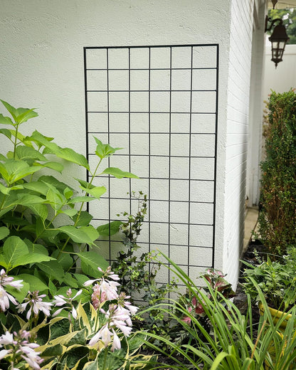 American Garden Works STNMB Narrow Screen Trellis, Black 64.25"H