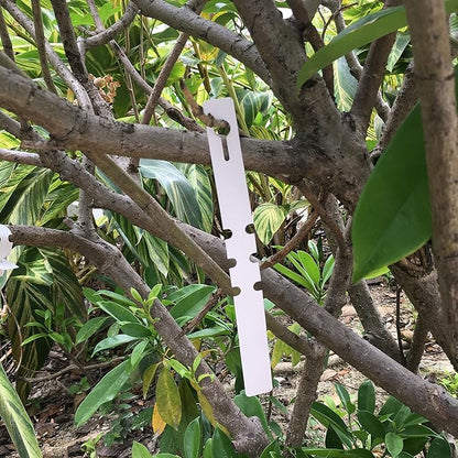 200 Pcs White Plastic Plant Tags with a Marker Pen, Wrap Around Hanging Tree Tags Nursery Garden Labels Waterproof Nursery Garden Stakes, 2x20cm