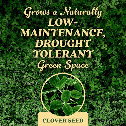 O.M. Scott and Sons Clover Seed, Lawn Seed Grows a Naturally Low Maintenance, Drought-Tolerant Lawn, 1,000 sq. ft., 2 lb.
