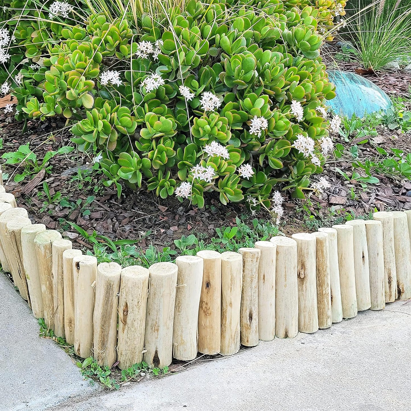 Backyard X-Scapes Natural Eucalyptus Wood Solid Log for Garden Edging Lawn Landscape Fence Borders 72 in L x 6 in H x 1.25 in D