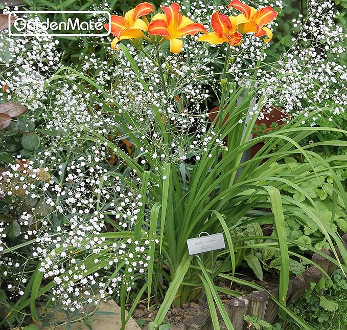 GardenMate 50-Pack Weatherproof Large Zinc Metal Plant Labels, Height 11.5", Label Area 3 1/2 x 1 1/4"