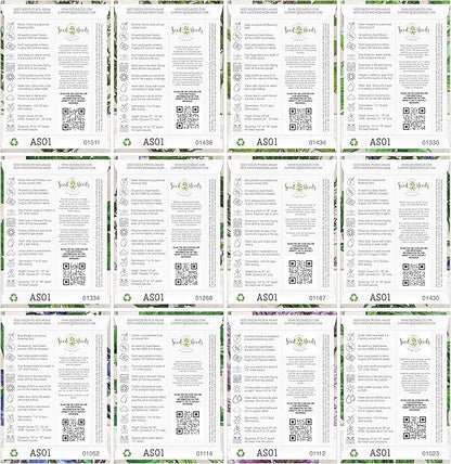 Seed Needs Herb Seeds Variety Pack Culinary Herb Collection (12 Individual Packets for Planting Indoors or Outdoors) Grow Your Own Herb Garden - Heirloom, Non-GMO