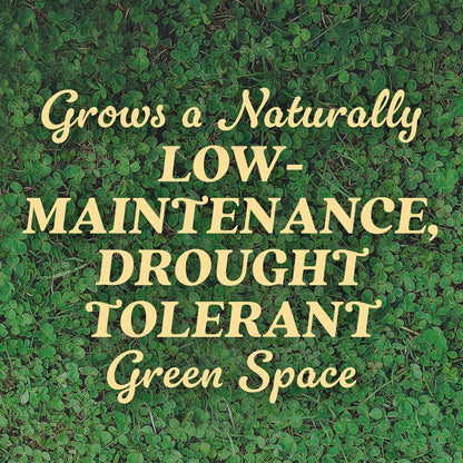 O.M. Scott and Sons Clover Seed, Lawn Seed Grows a Naturally Low Maintenance, Drought-Tolerant Lawn, 1,000 sq. ft., 2 lb., 2-Pack