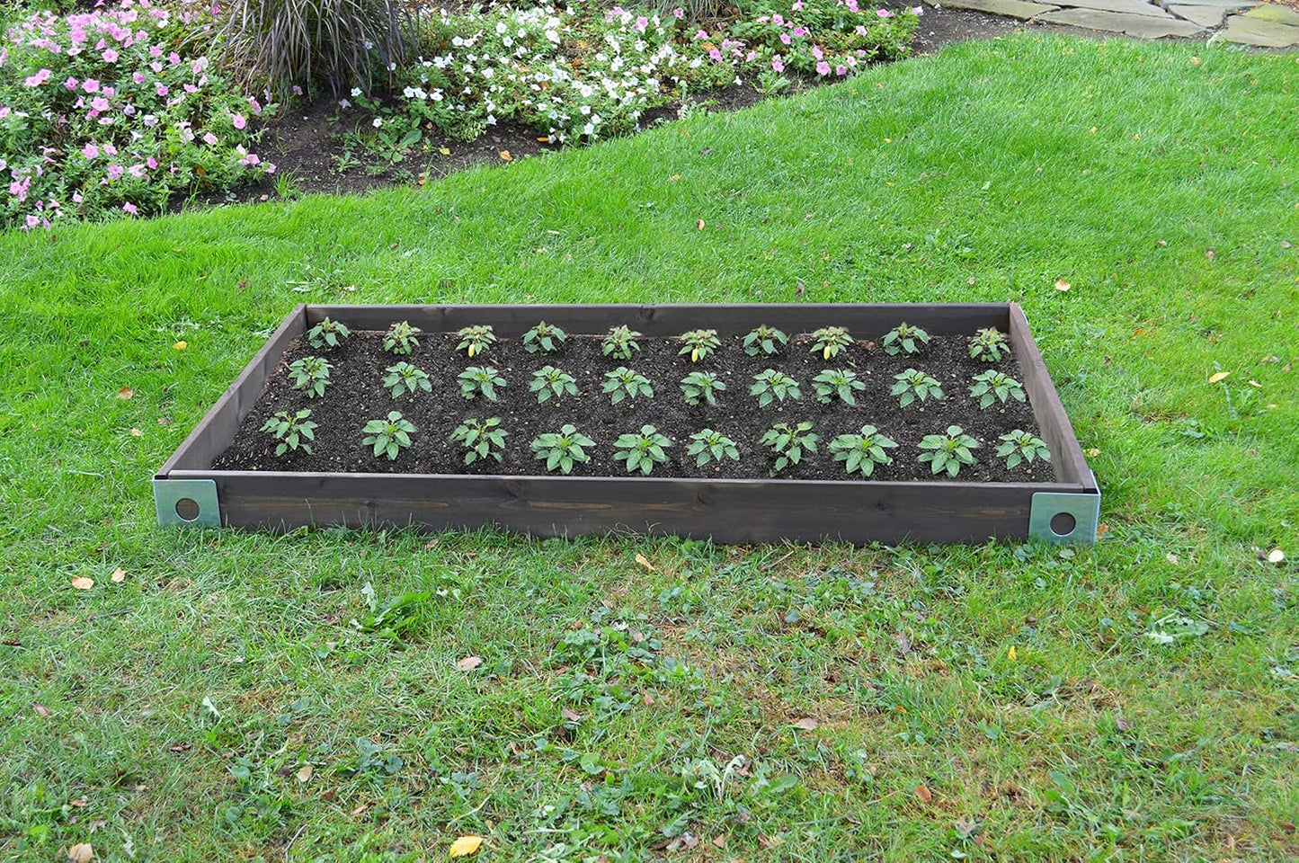 Red Cedar Wood Raised Vegetable Garden Bed - Amish Made in USA (5.5" Raised Bed with Decorative Corners, Gray Stain)