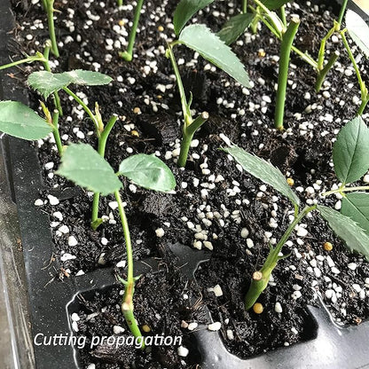 Gardzen 5-Set Seed Starter Tray Kits, Durable Plant Germination Trays with Humidity Vented Domes and Bases, Ideal for Seed Starting, Indoor Gardening, and Greenhouse (Total 200 Cells)