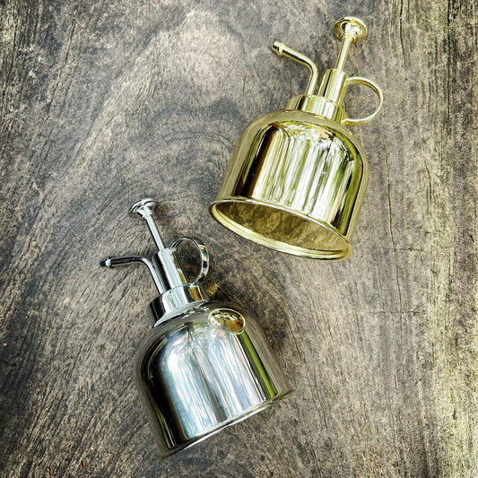 Plant Mister Spray Bottle Stainless Steel Watering Can for Indoor Plants Succulent Bonsai Garden Houseplant Spritzer Modern Garden Tools 10oz/300ml (Silver)